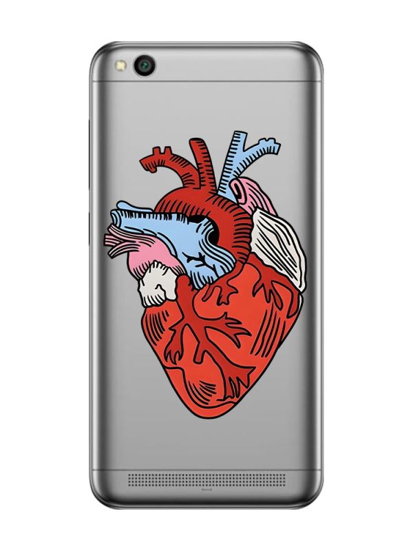 Прозорий чохол на Xiaomi Redmi 5A :: Серце анатомічне (принт 250)