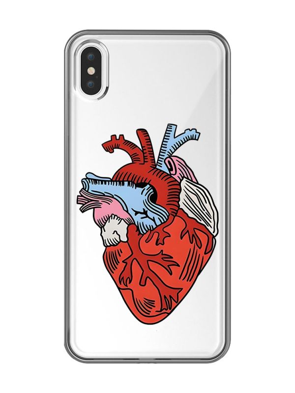Прозорий чохол на iPhone XS Max :: Серце анатомічне (принт 250)