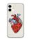 Прозорий чохол на iPhone 12 mini :: Серце анатомічне (принт 250)
