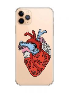 Прозорий чохол на iPhone 11 Pro Max (6,5) :: Серце анатомічне (принт 250)