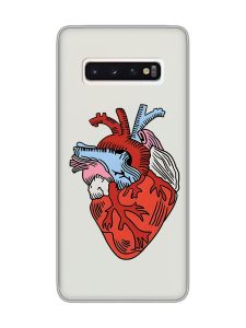 Прозорий чохол на Samsung Galaxy S10 :: Серце анатомічне (принт 250)