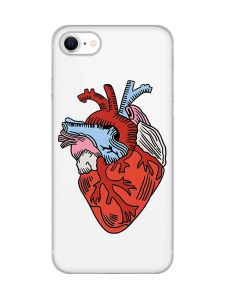 Прозорий чохол на iPhone SE 2020 :: Серце анатомічне (принт 250)