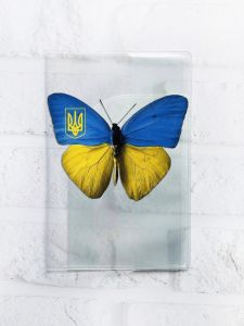 Обкладинка на паспорт книжечку :: Метелик Україна (патріотичний принт 255)