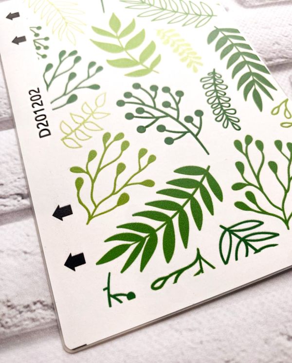 Захисна плівка Flora на задню панель для iPhone 5s
