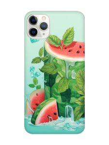 Матовий чохол з чорними боками на iPhone 11 Pro (5.8) :: Кавуновий айсберг (принт 339)