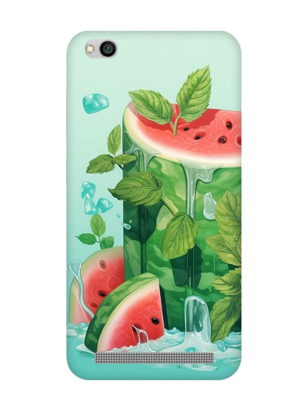 Чохол на Xiaomi Redmi 5A :: Кавуновий айсберг (принт 339)
