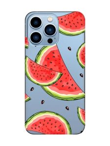 Прозорий чохол на Apple iPhone 13 Pro Max :: Скибки кавуна (принт 342)