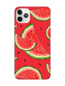 Матовий червоний чохол на iPhone 11 Pro Max (6.5) :: Скибки кавуна (принт 342)