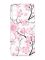 Прозорий силіконовий чохол на Samsung Galaxy M14 :: Квітуча сакура (принт 282)