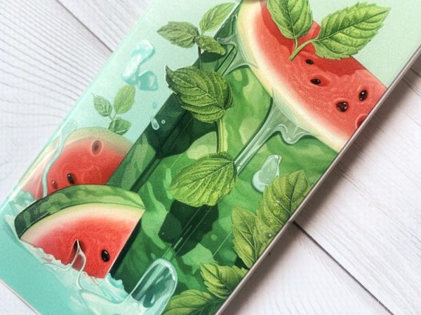 Чохол на Samsung Galaxy S10 Plus :: Кавуновий айсберг (принт 339)