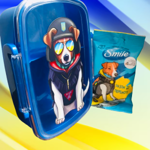 Подарунковий набір Ланч бокс синій 800 мл і вологі серветки (дизайн 41_2)