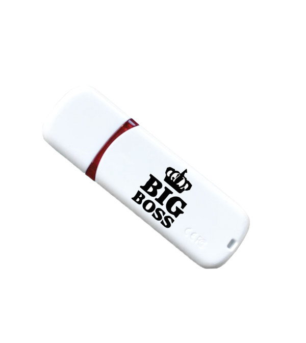 Іменна флешка з логотипом на 64GB (дизайн 172)