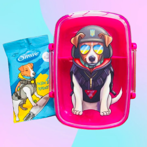 Подарунковий набір Ланч бокс рожевий 800 мл та вологі серветки (дизайн 41_2)