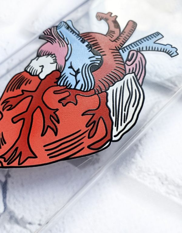 Чохол з потовщеними кутами на Samsung A12 4G :: Серце анатомічне (принт 250)