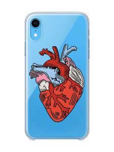 Прозорий чохол на iPhone XR :: Серце анатомічне (принт 250)