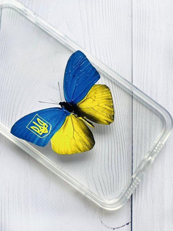 Прозорий чохол на Samsung Galaxy M33 5G :: Метелик Україна (принт 255)