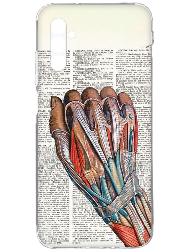 Чохол на Samsung Galaxy A34 5G/A346 :: Анатомія руки (принт 298)