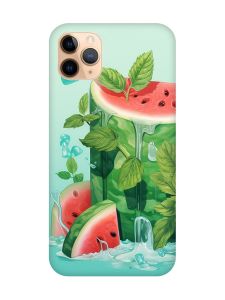 Чохол на iPhone 11 Pro Max (6,5) :: Кавуновий айсберг (принт 339)