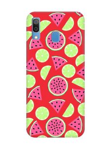 Матовий червоний чохол на Samsung Galaxy A30 (2019) / A20 (2019) :: Кавуни и лайм (принт 345)