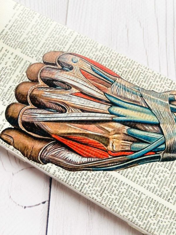 Чохол на Samsung Galaxy A34 5G/A346 :: Анатомія руки (принт 298)