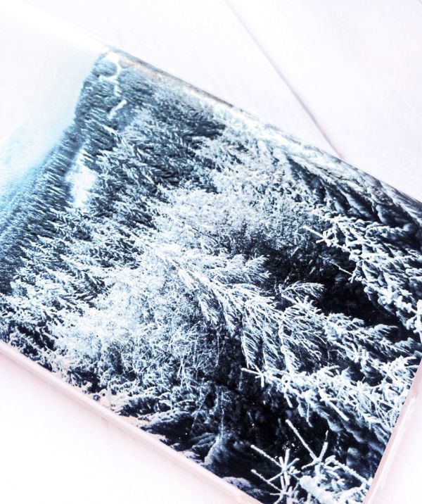 Чохол з потовщеними кутами на Samsung Galaxy S8 :: Зимовий ліс (принт 164)